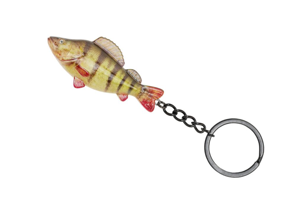 Carp Zoom Sugeres kulcstarto