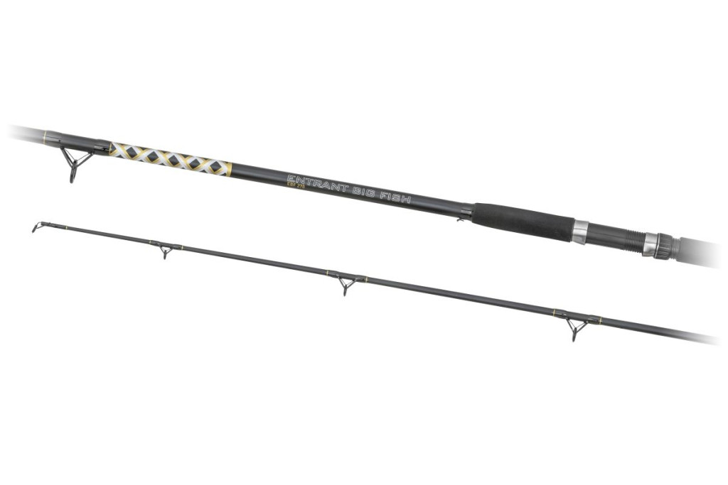 Carp Zoom Entrant Bigfish fishing rod, 300 cm, 200-500 g, 2 section