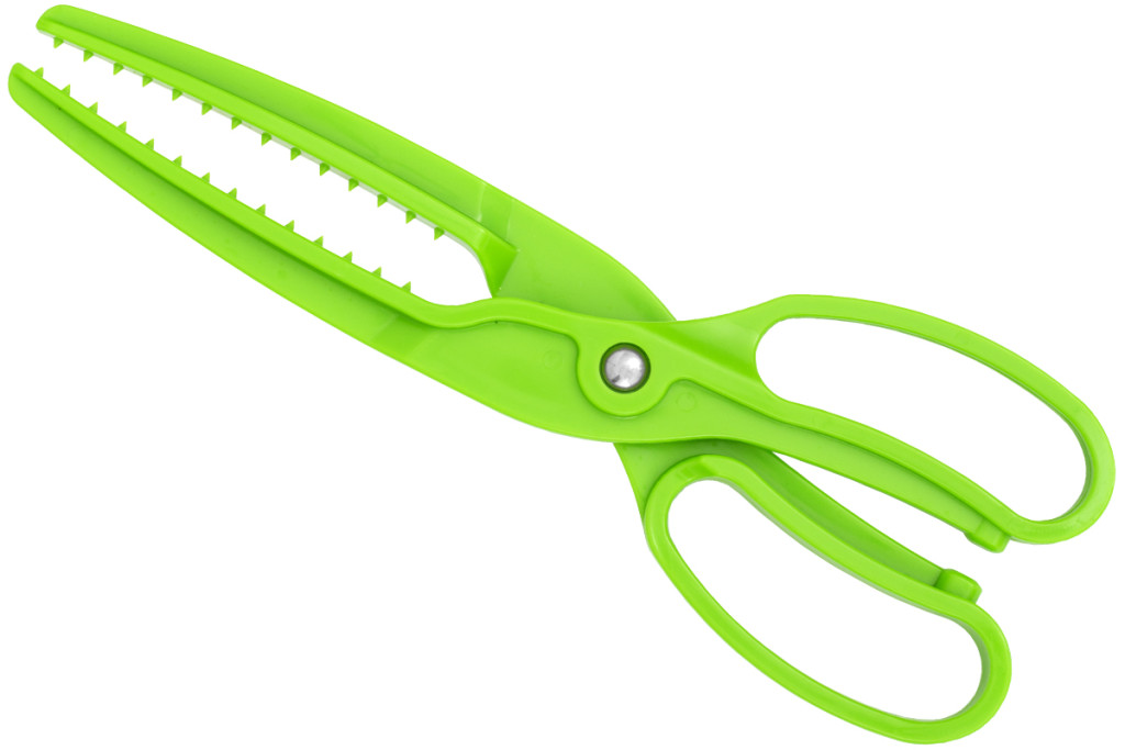 Carp Zoom Halfogo scissors for fish cleaning, 25 cm